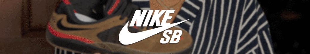 Nike Sb Ishod Wair