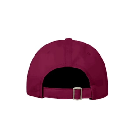 Boné Disturb Holiday Dad Hat Burgundy Light Blue