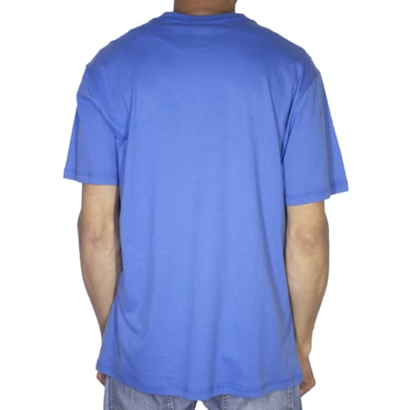 Camiseta Dc Shoes Howzthat Azul