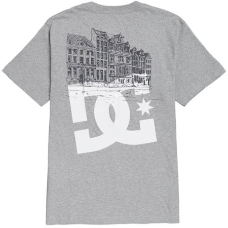 Camiseta Dc Shoes X Ben G Amsterdan HSS Heather Grey 