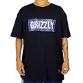Camiseta Grizzly Paisley Stamp Black GMD2001P34