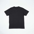 Camiseta Rvca Anp Label Black