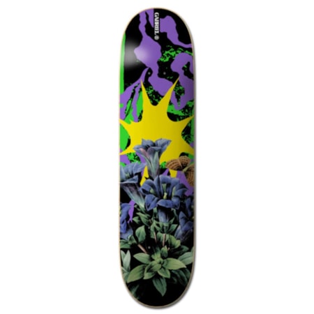 Shape Maple Element Combine Gabriel Fortunato 8.25