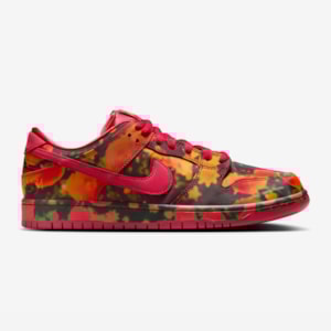 Tênis Nike Sb Dunk Low Pro Qs x The Wizard Of O...