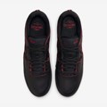 Tênis Nike Sb Ishod Prm Black Red DV5473001